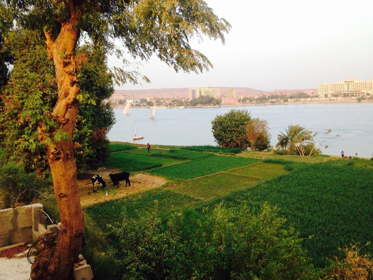 Nubian Holiday House Aswan Buitenkant foto