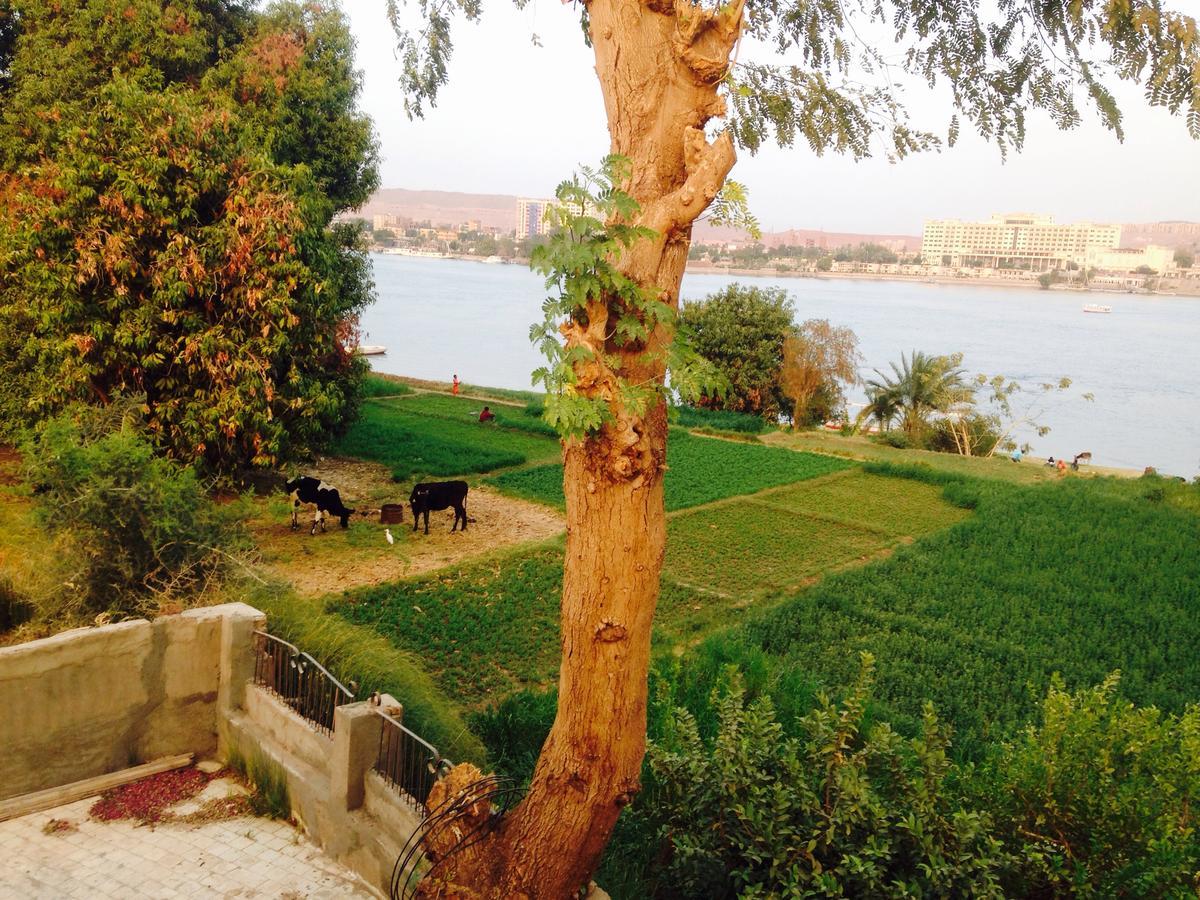 Nubian Holiday House Aswan Buitenkant foto